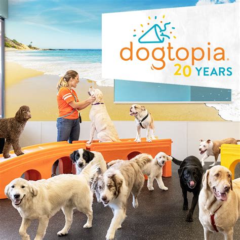 dogtopia commerce